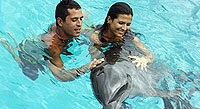 Puerto Vallarta Dolphin Swims