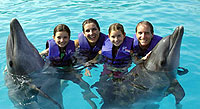 Puerto Vallarta Dolphin Swims