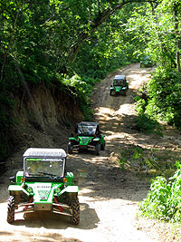 Puerto Vallarta Green Zebra Dune Buggies