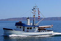 62' Private Charter in Puerto Vallarta