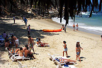 Pizota Beach Puerto Vallarta