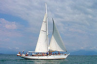 Puerto Vallarta Private Sailboat Rental