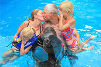 Puerto Vallarta Sea Lions