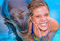 Puerto Vallarta Sea Lions