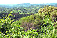 View from Road on ATV Tour