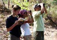 Puerto Vallarta Birding