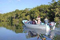 San Blas Birdwatching - La Tovara