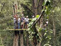 Puerto Vallarta Canopy Tour