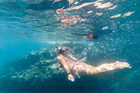 Puerto Vallarta Snorkeling