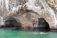 Puerto Vallarta Snorkeling