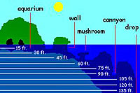 Diving Devils Canyon at Los Arcos