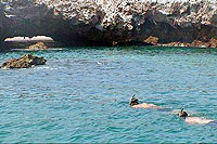 Puerto Vallarta Snorkeling