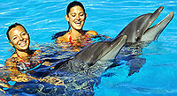 Puerto Vallarta Dolphins