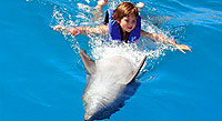 Dolphin Swim Puerto Vallarta