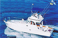 Cheap Fishing Trips in Puerto Vallarta