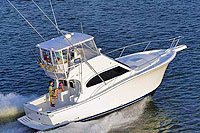 Puerto Vallarta Fishing Trips