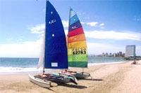 Hobie Cats