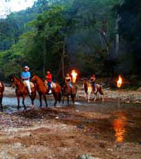 Puerto Vallarta Horseback Riding