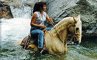 Puerto Vallarta Horseback Riding