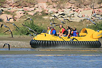 Hovercraft Tour Puerto Vallarta