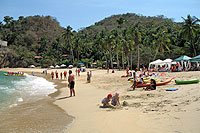 Puerto Vallarta Snorkeling