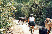 Puerto Vallarta Mountain Biking