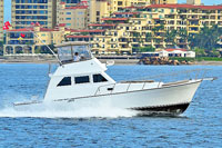 Private Fishing Boat - Vallarta