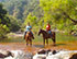 Beach Horseback Riding Tour