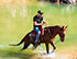 Rio Cuale Mule Ride