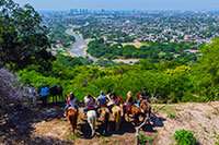 Tropical Horseback Riding