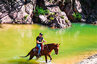 Puerto Vallarta Horseback Riding