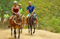 Cuale River Mule Tour Puerto Vallarta