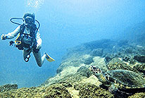 Puerto Vallarta Scuba Diving