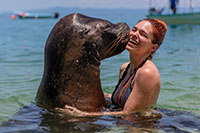 Puerto Vallarta Sea Lions