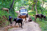 Jeep Tour Puerto Vallarta