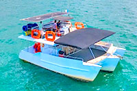 Private Whale Watching catamaran