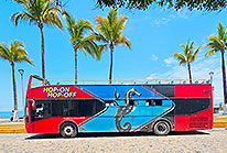 Puerto Vallarta Hop-on Hop-off Bus