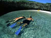 Puerto Vallarta Whale Watching