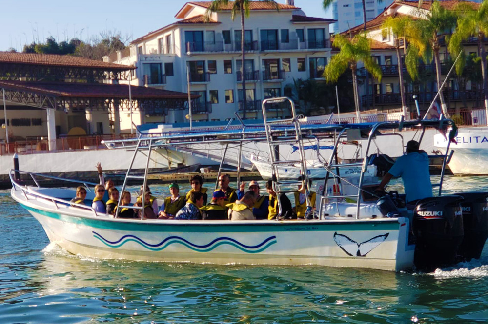 Whale Watching Zodiac, Puerto Vallarta