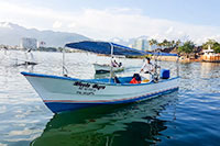 Puerto Vallarta Whale Watching