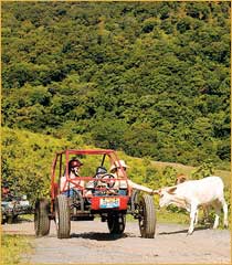 Puerto Vallarta Dune Buggies