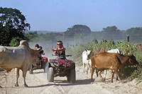 La Desembocada ATV Tour, Puerto Vallarta