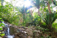 Puerto Vallarta Hiking Tour