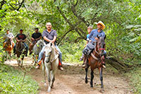 Puerto Vallarta Horseback Riding