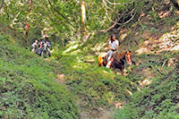 Puerto Vallarta Horseback Riding