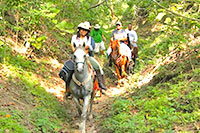 Puerto Vallarta Horseback Riding