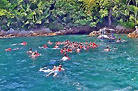 Puerto Vallarta Snorkeling Tour