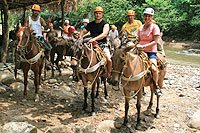 Canopy River Puerto Vallarta Tours