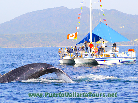 Private Party Boat Vallarta