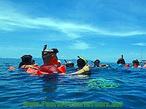 Private Catamaran Snorkeling